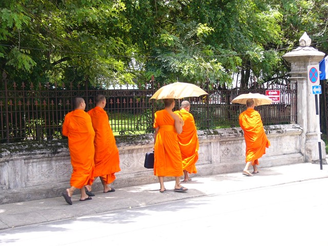 Phuket Young Buddhist Monks